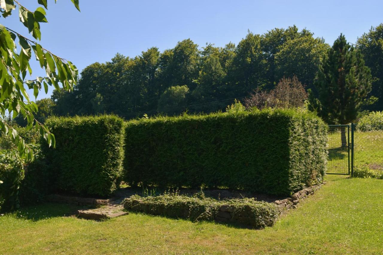 Superior - Ferienhaus Am Engelsbach Im Thueringer Wald Zewnętrze zdjęcie