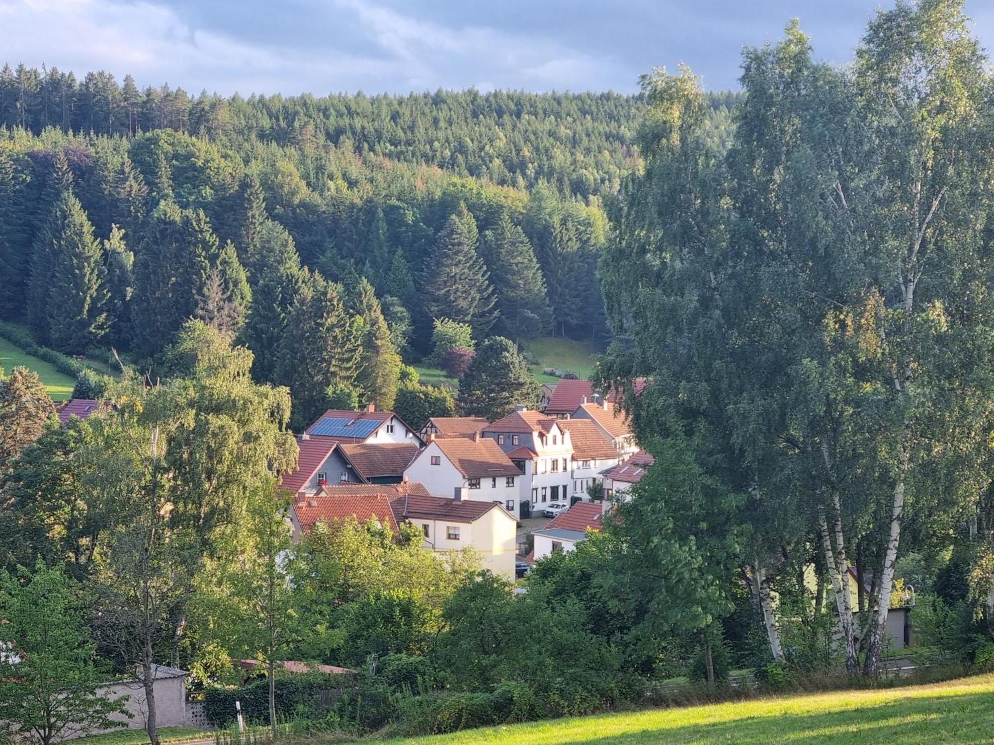 Superior - Ferienhaus Am Engelsbach Im Thueringer Wald Zewnętrze zdjęcie